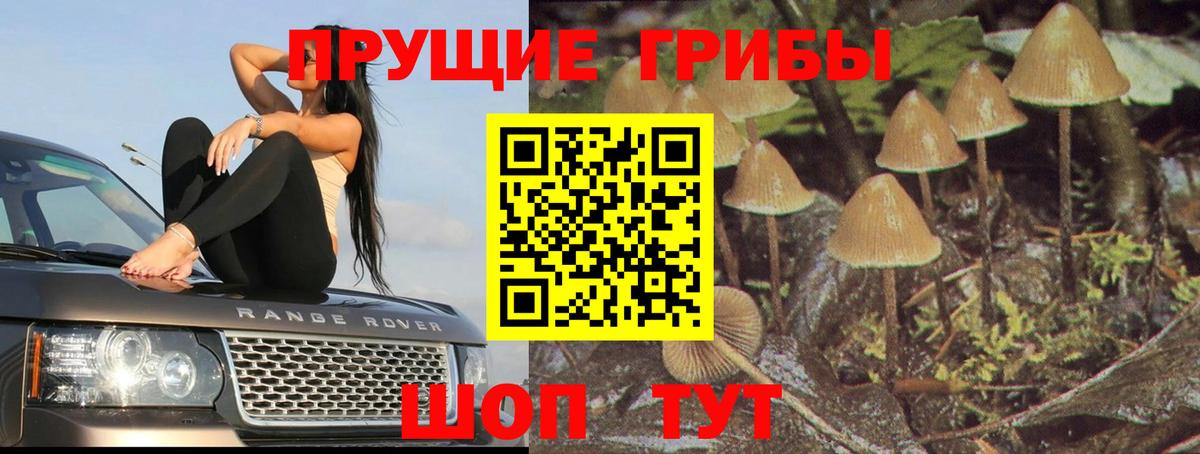 Галлюциногенные грибы мицелий  цены наркотик  Аша  Вход с VPN 
